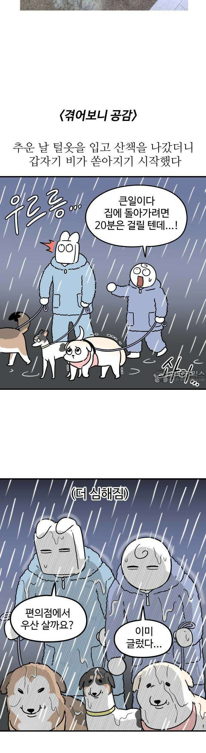 노곤하개 쇼츠 매미와 오징어 8