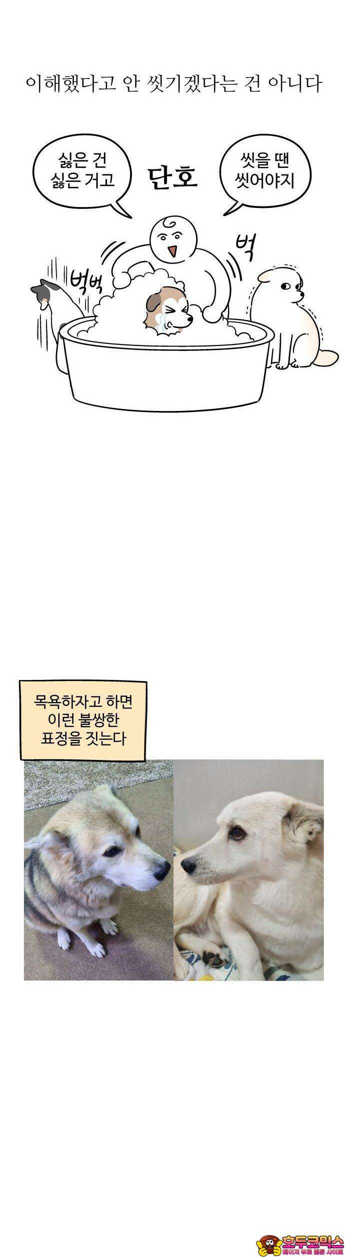 노곤하개 쇼츠 매미와 오징어 10