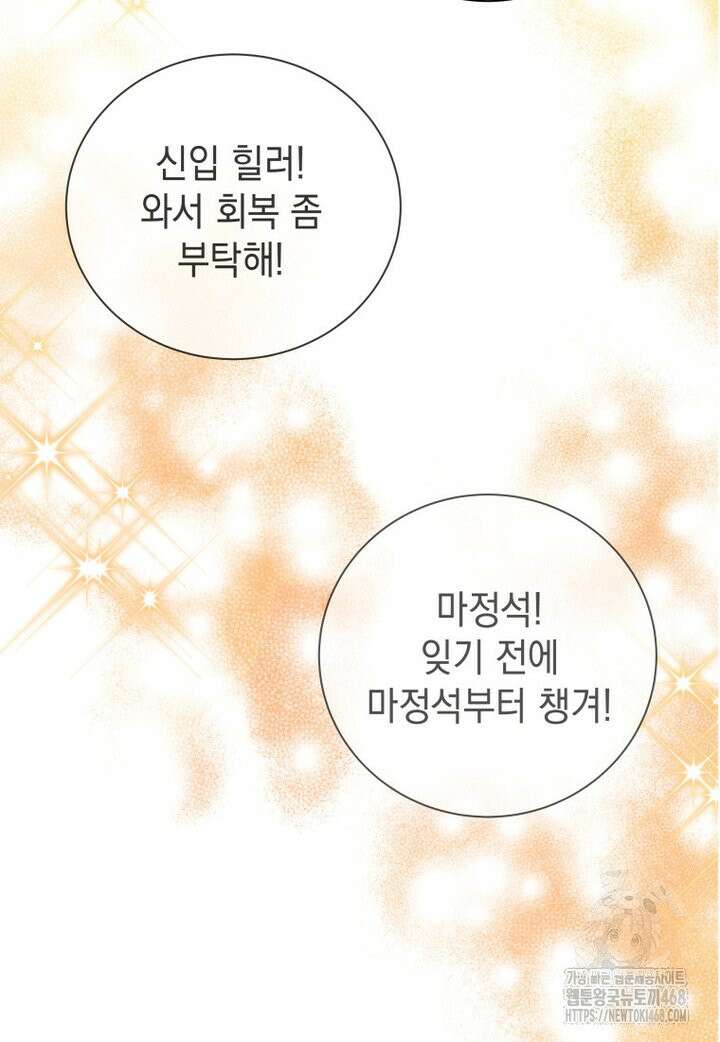 마력이 0.06인 내가 스킬레벨만으로 최강 헌터가 되어 새총의 위대함 2화 101