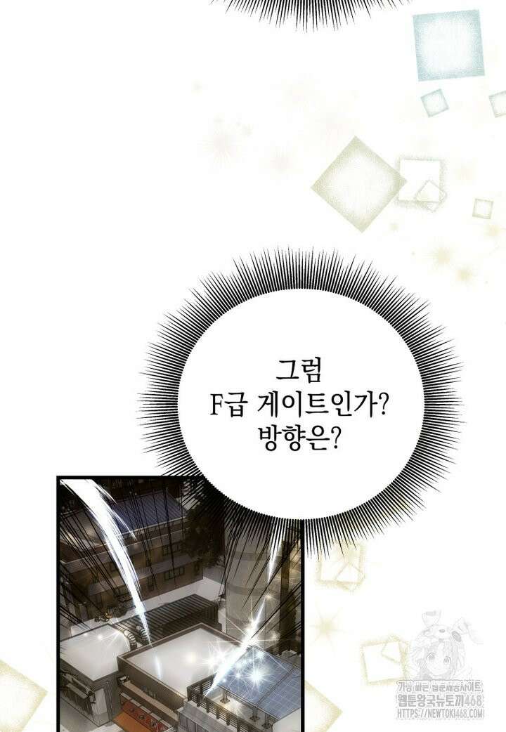 마력이 0.06인 내가 스킬레벨만으로 최강 헌터가 되어 새총의 위대함 2화 123