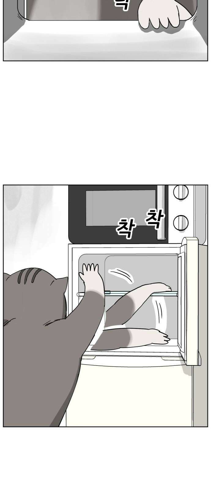 괴양이 85화 - 카이사르의 대모험1 : 가출 2