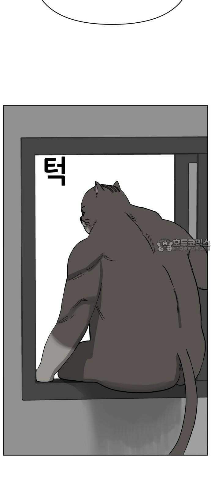 괴양이 85화 - 카이사르의 대모험1 : 가출 27
