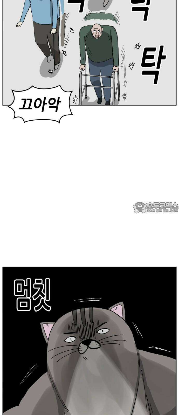 괴양이 85화 - 카이사르의 대모험1 : 가출 60