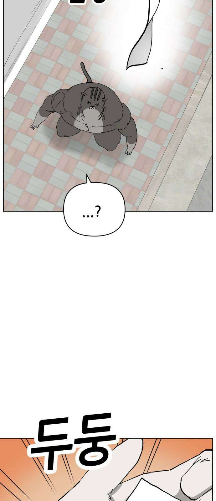 괴양이 85화 - 카이사르의 대모험1 : 가출 67