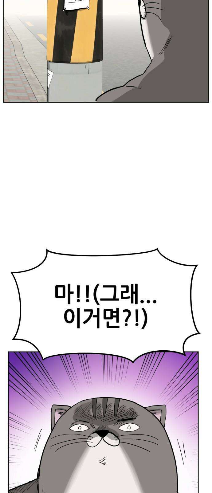 괴양이 85화 - 카이사르의 대모험1 : 가출 80