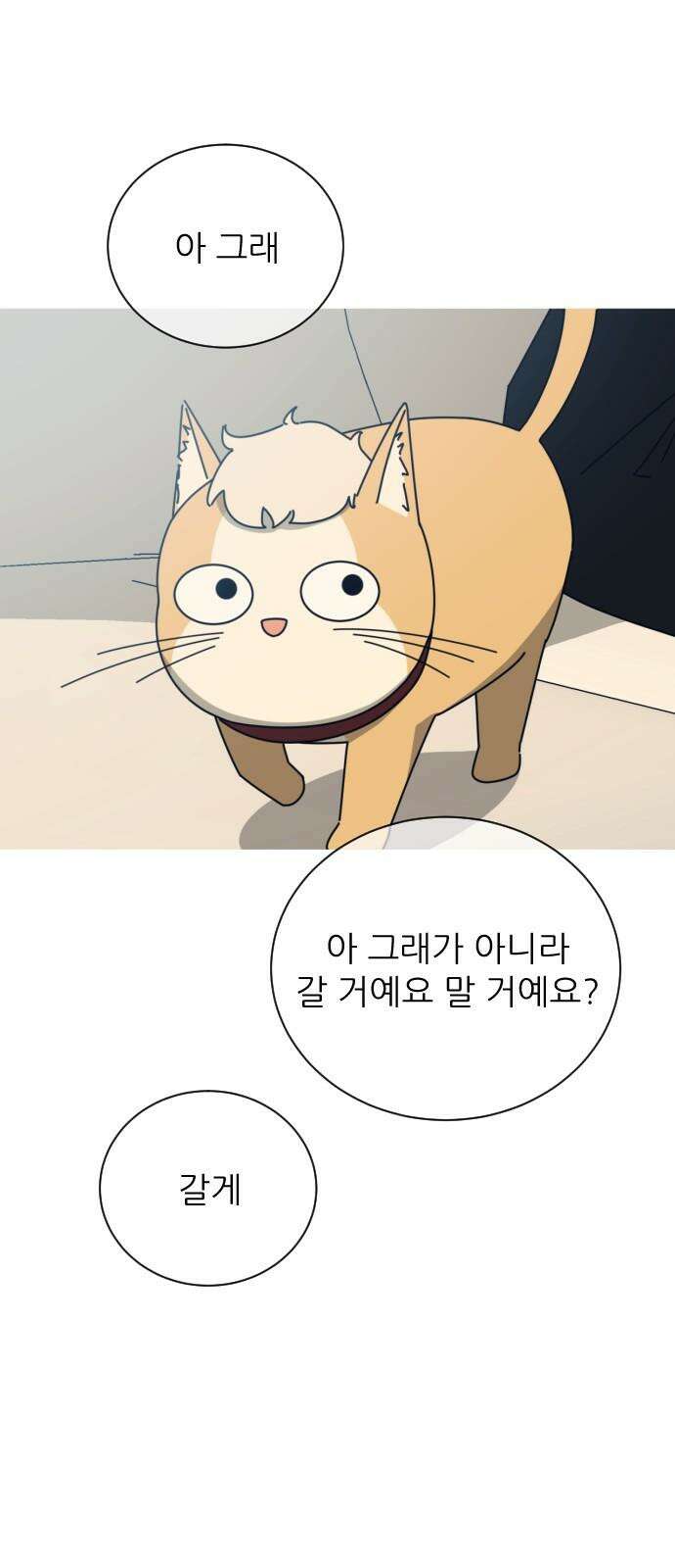 아는 사람 48화 : 가족(1) 10