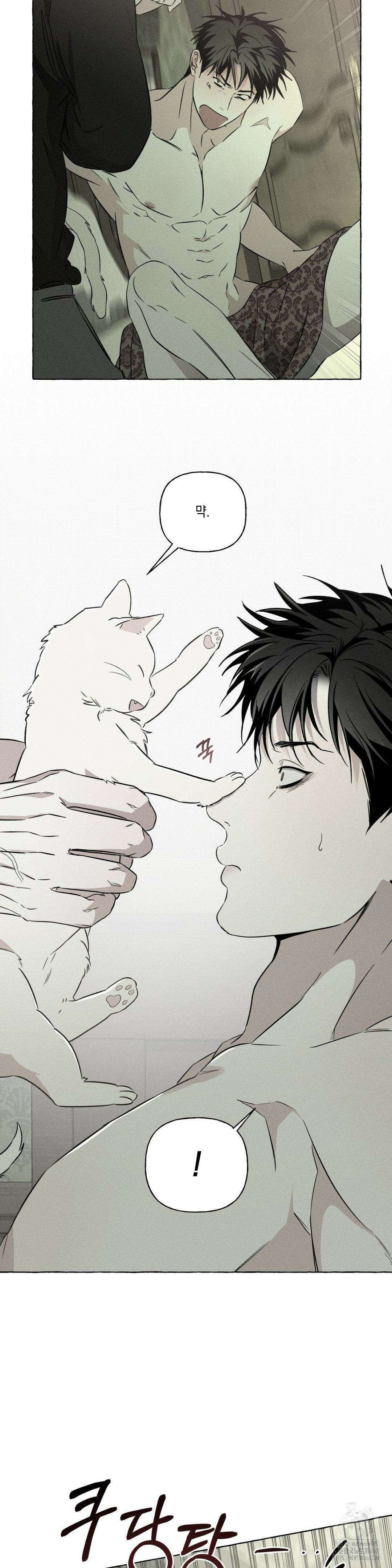 뼈와 꽃잎 39화 6