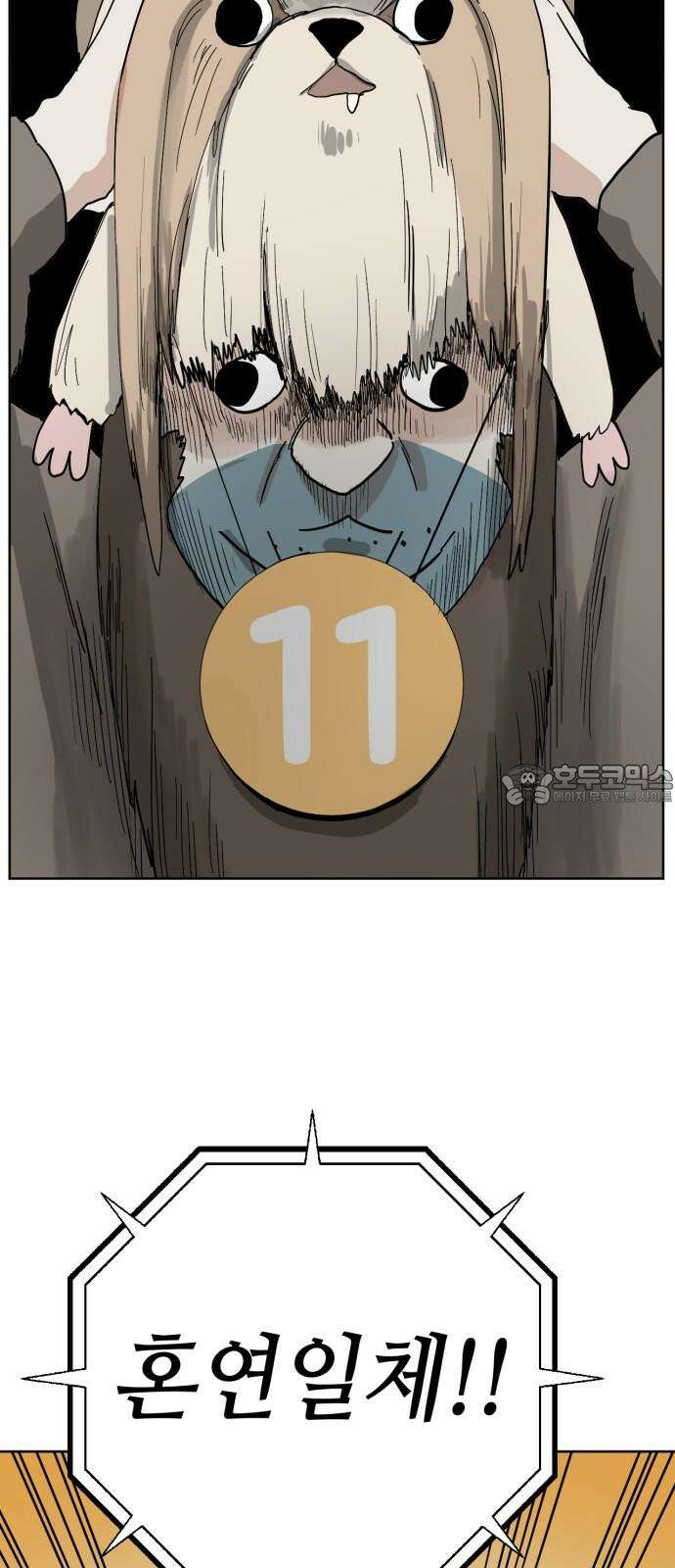 괴양이 87화 - 카이사르의 대모험3 : 뷰티심사 12