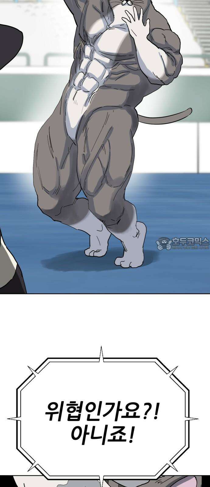괴양이 87화 - 카이사르의 대모험3 : 뷰티심사 18