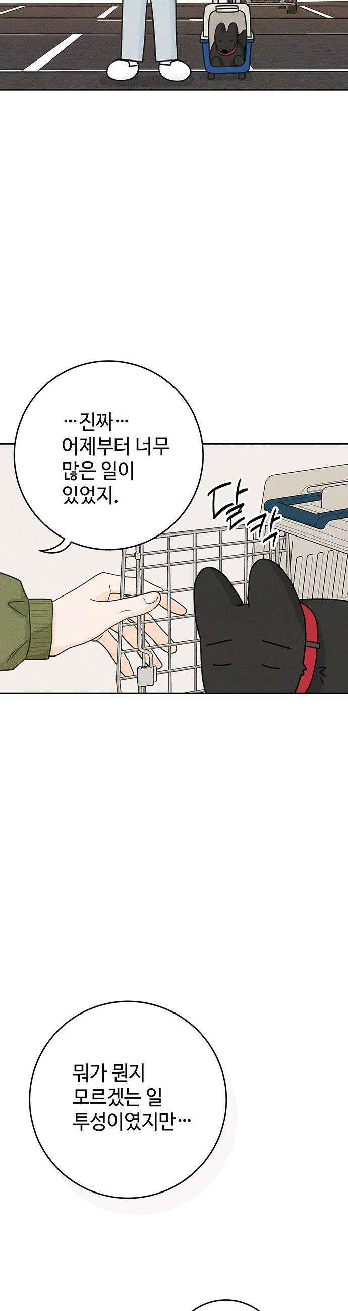 요괴삼월 - 3화 5