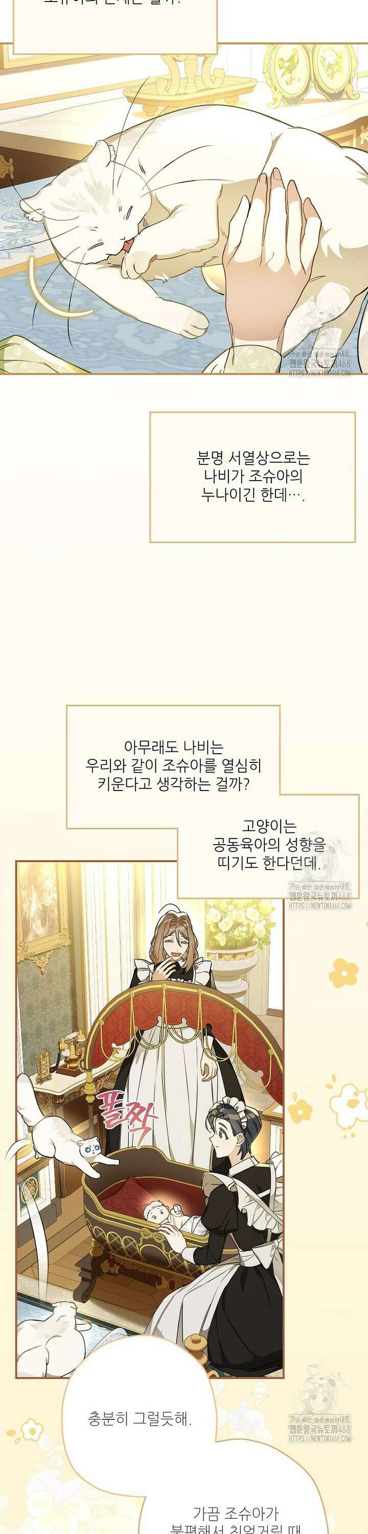 백작가의 사생아가 결혼하면 108화 7