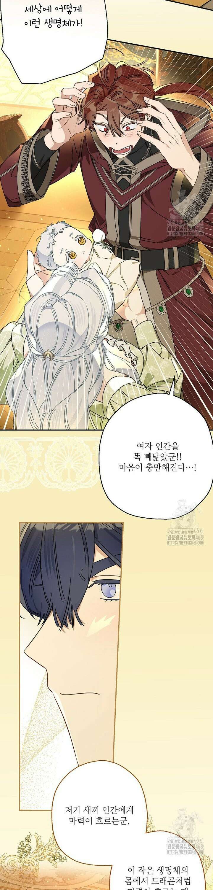 백작가의 사생아가 결혼하면 108화 24