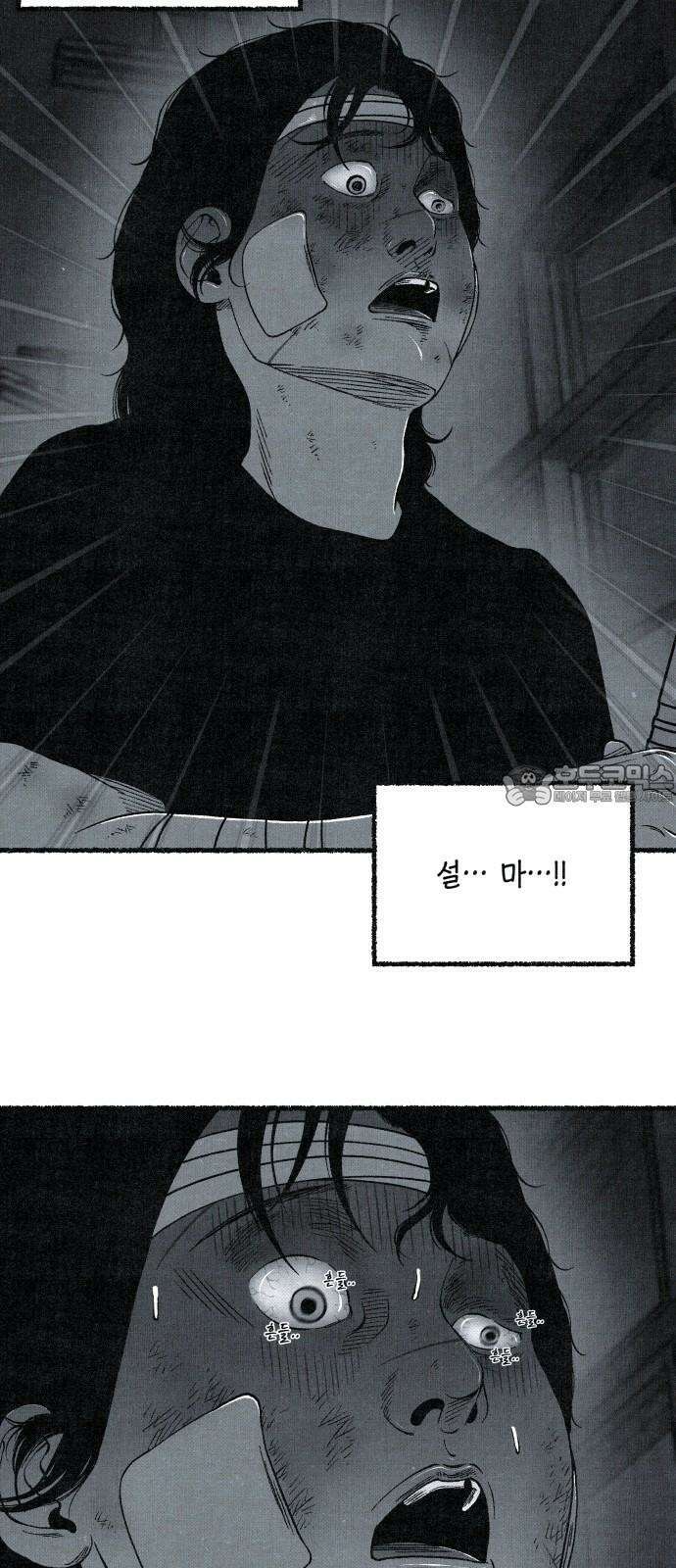 벌집 68화 45