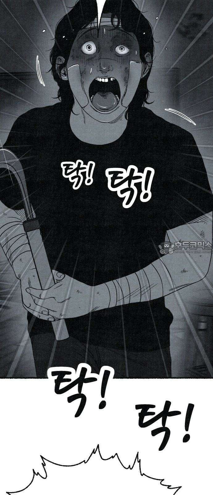 벌집 68화 51