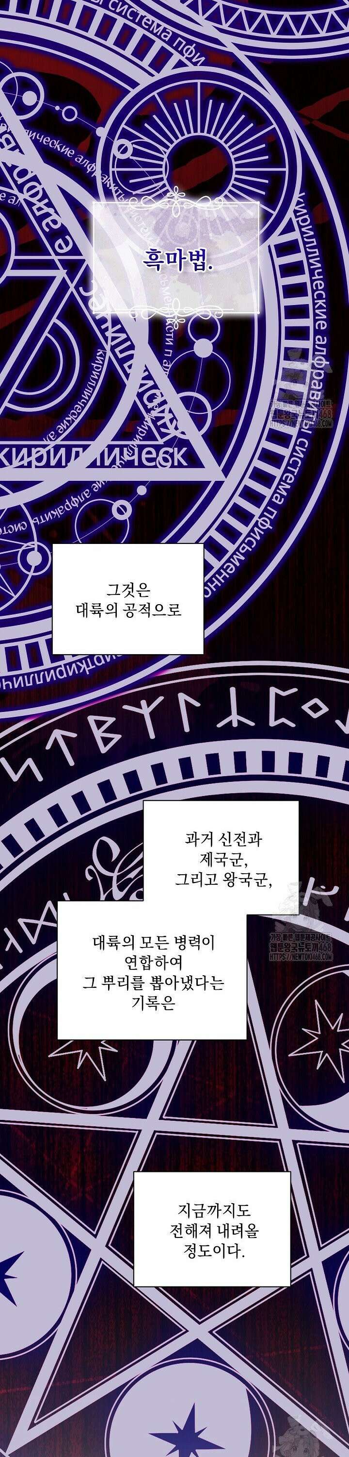 흑막 남주의 시한부 유모입니다 74화 19