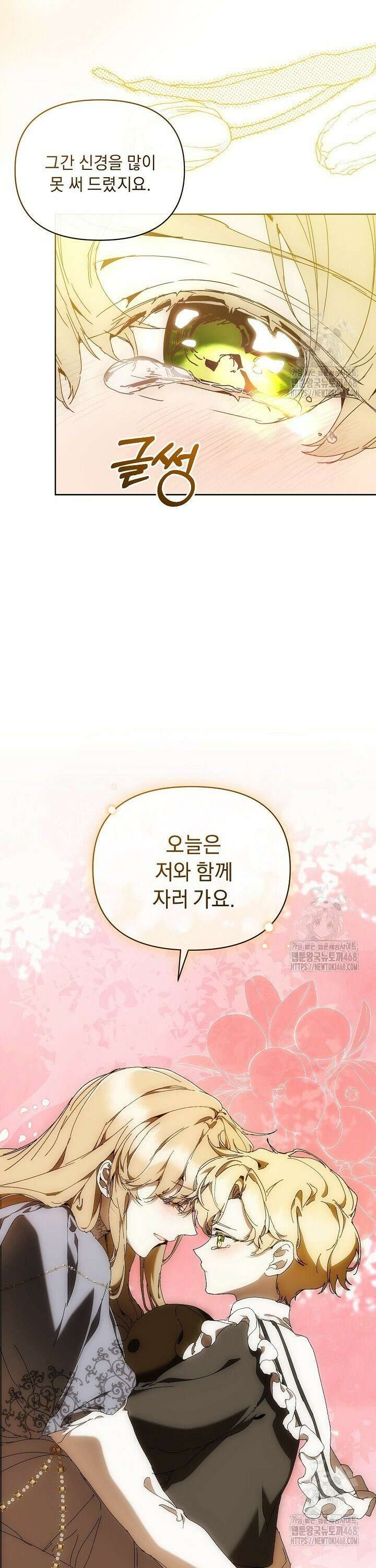 흑막 남주의 시한부 유모입니다 74화 41