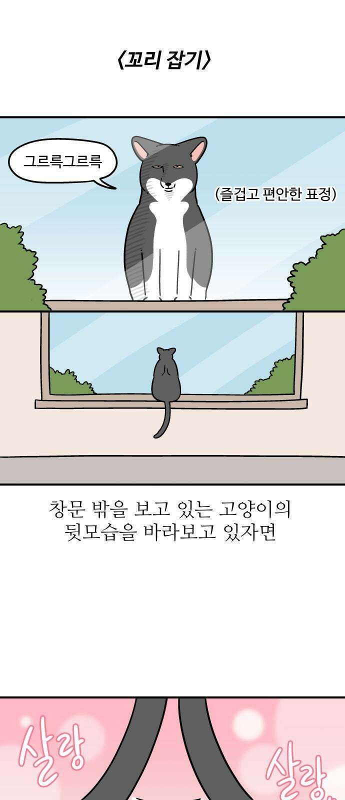 노곤하개 쇼츠 꼬리 잡기 2