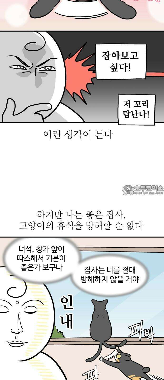 노곤하개 쇼츠 꼬리 잡기 3