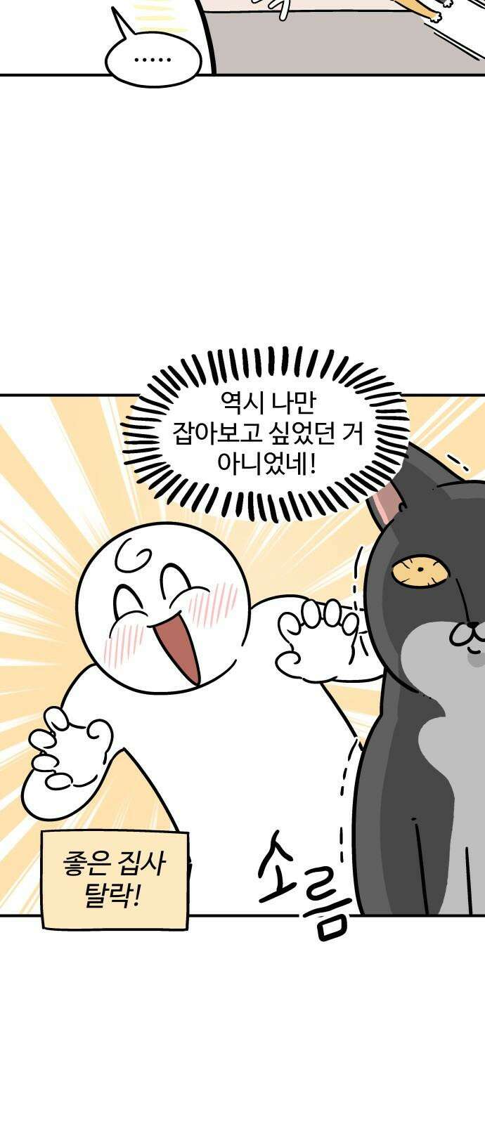노곤하개 쇼츠 꼬리 잡기 4