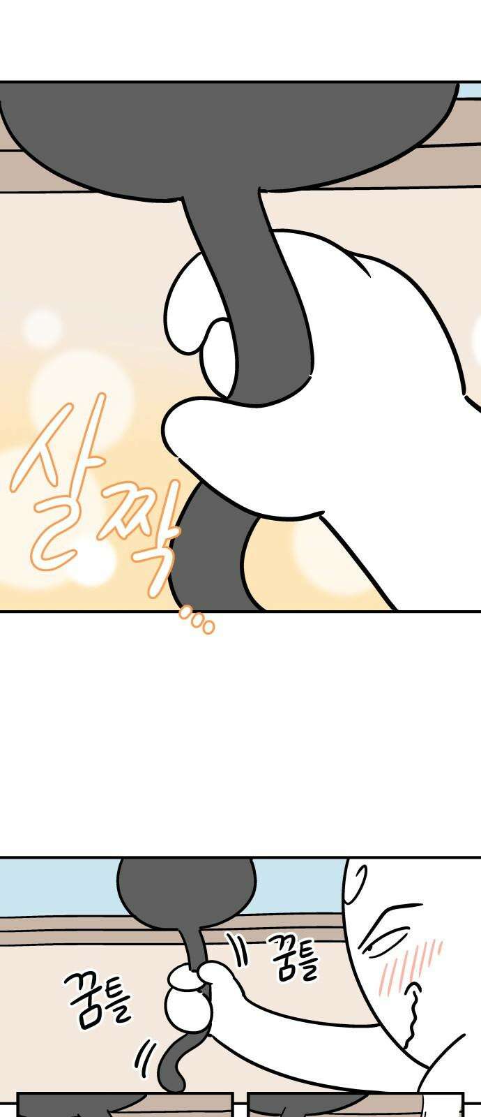 노곤하개 쇼츠 꼬리 잡기 5