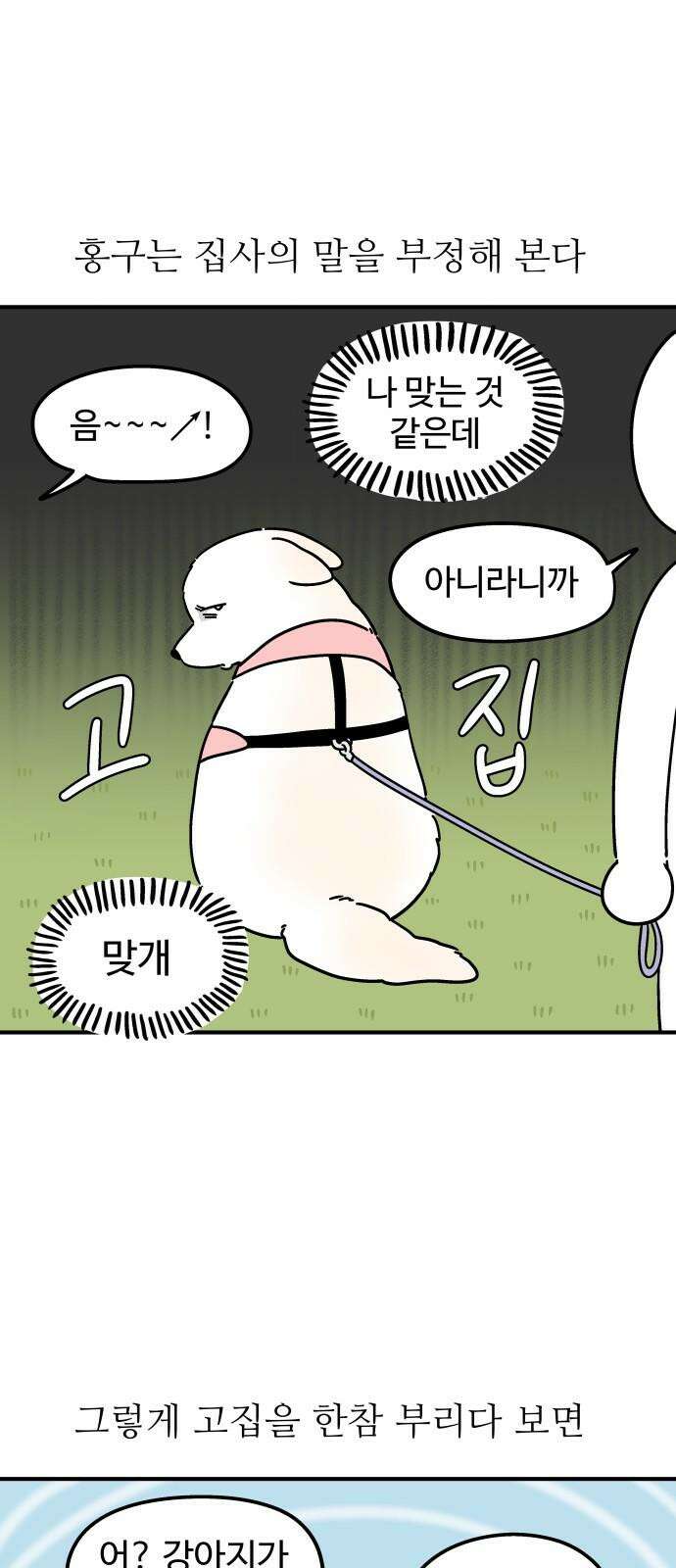 노곤하개 쇼츠 꼬리 잡기 13