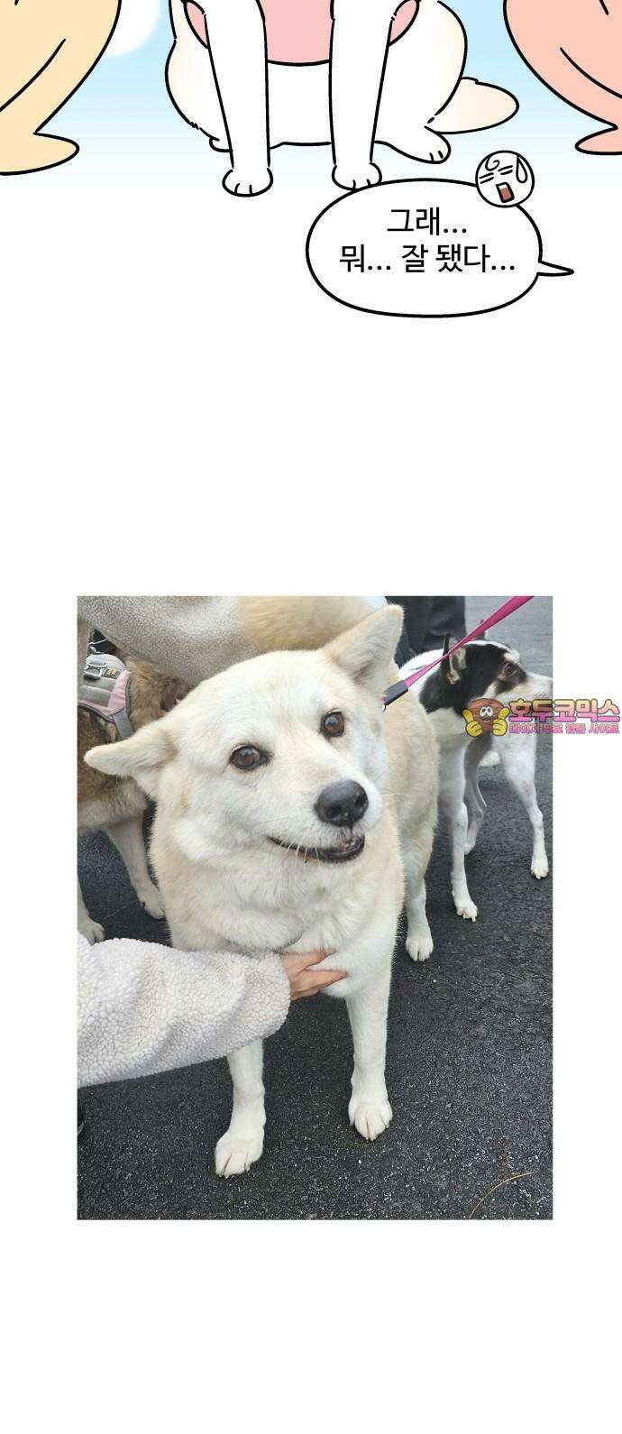 노곤하개 쇼츠 꼬리 잡기 15