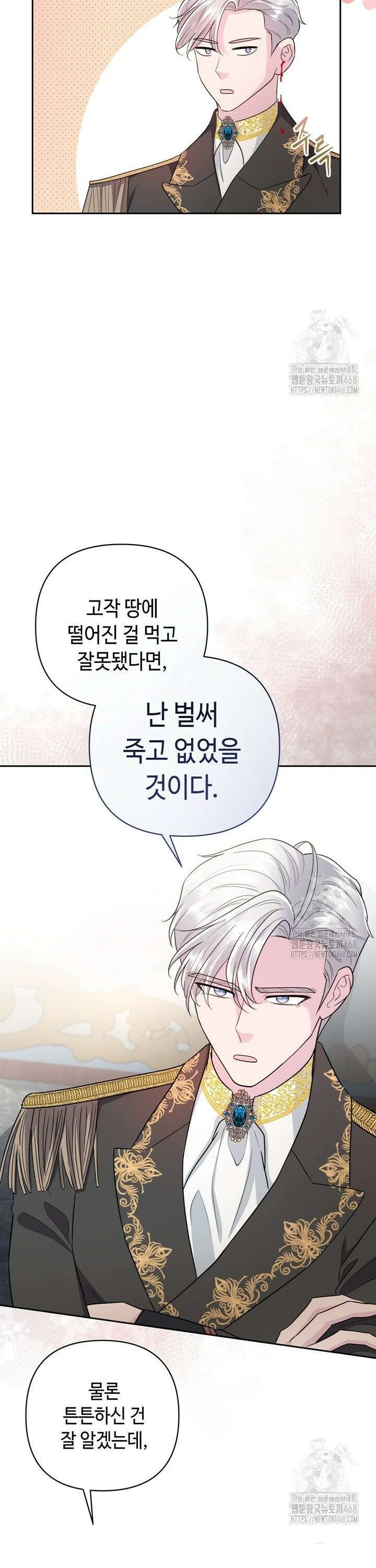 몰락한 왕녀에게는 회귀가 필요합니다 12화 15