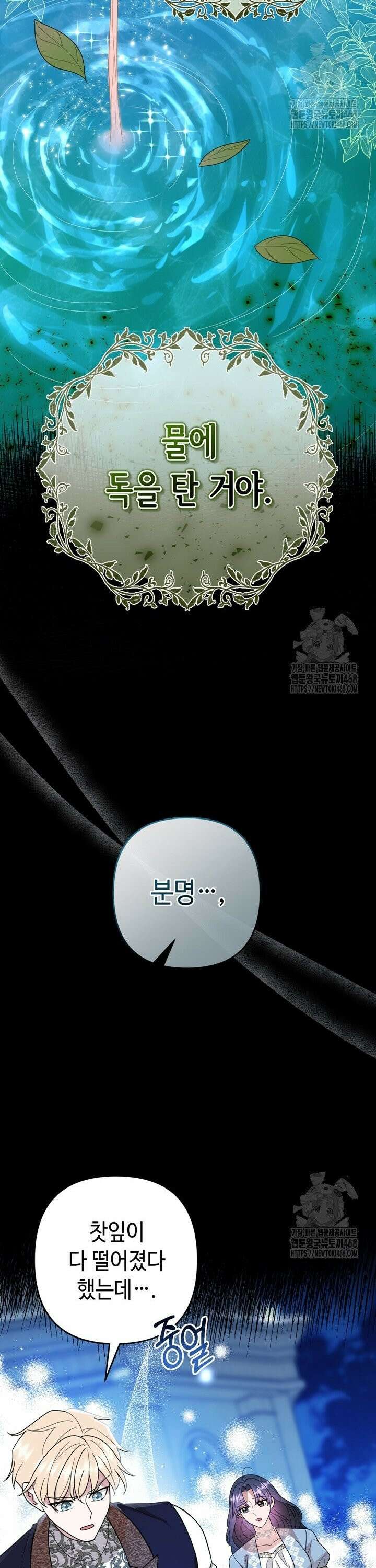 몰락한 왕녀에게는 회귀가 필요합니다 31화 39