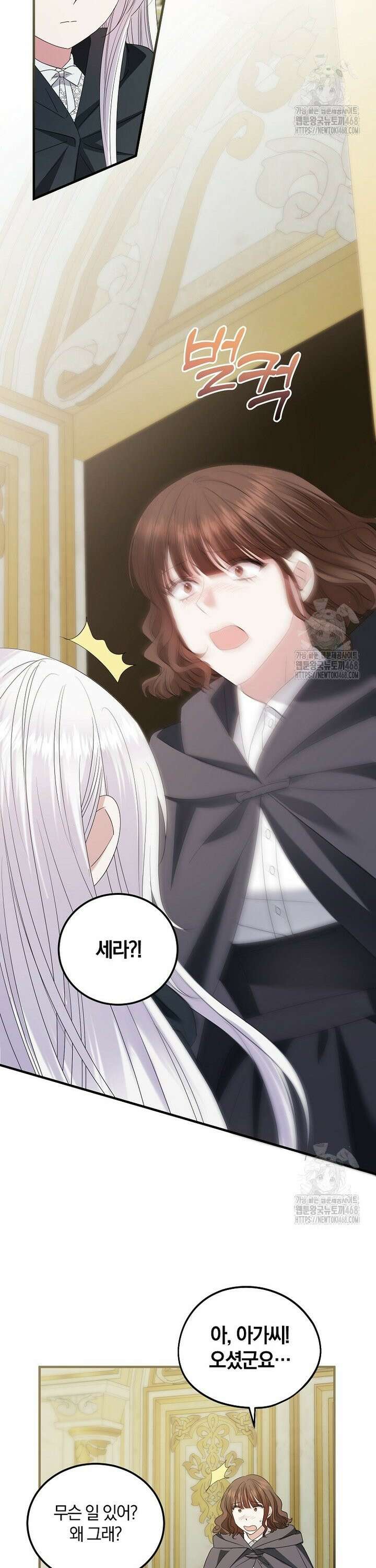 영웅은 됐어요, 은퇴라면 몰라도 59화 28
