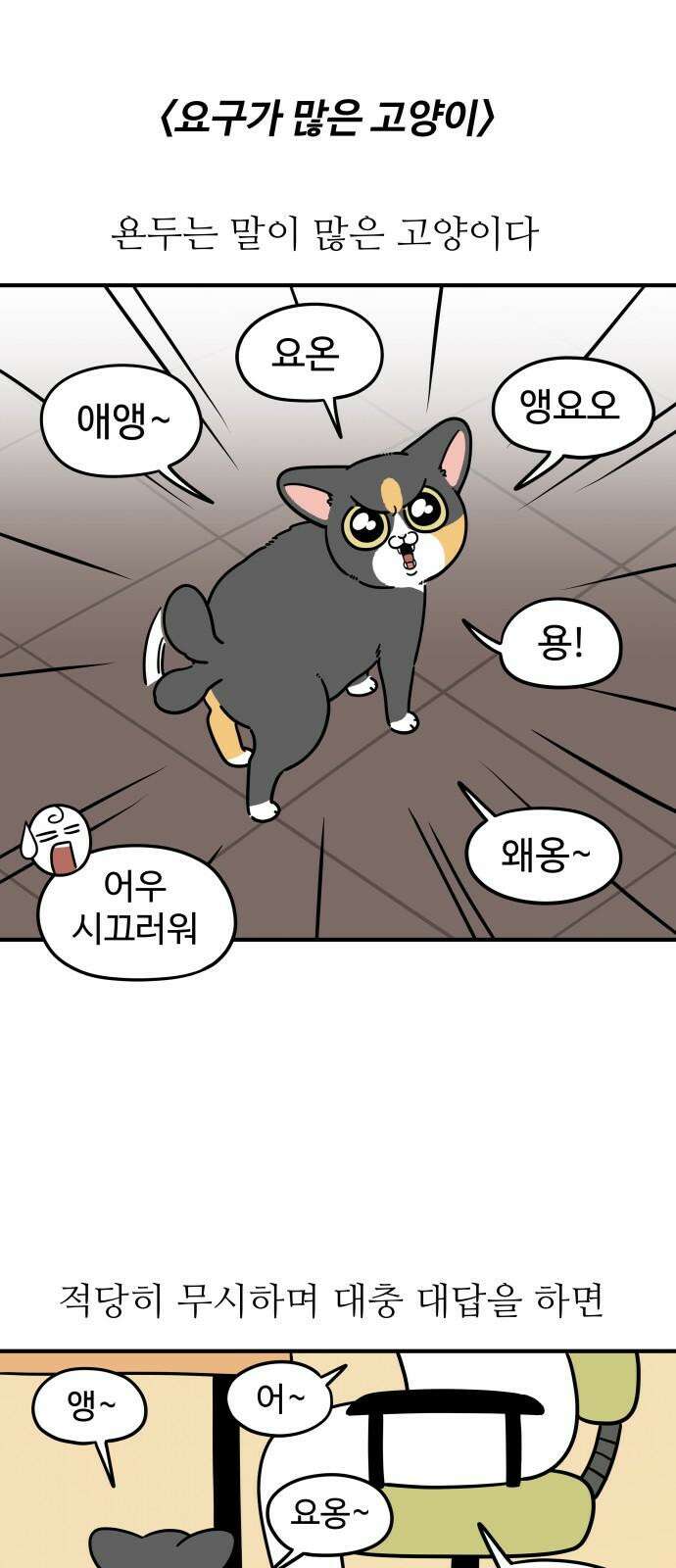 노곤하개 쇼츠 요구가 많은 고양이 2