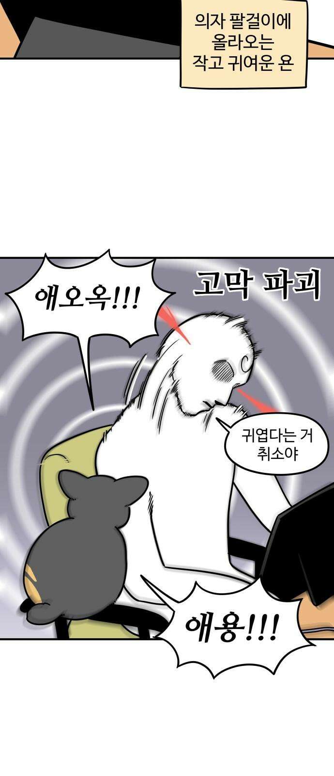 노곤하개 쇼츠 요구가 많은 고양이 4