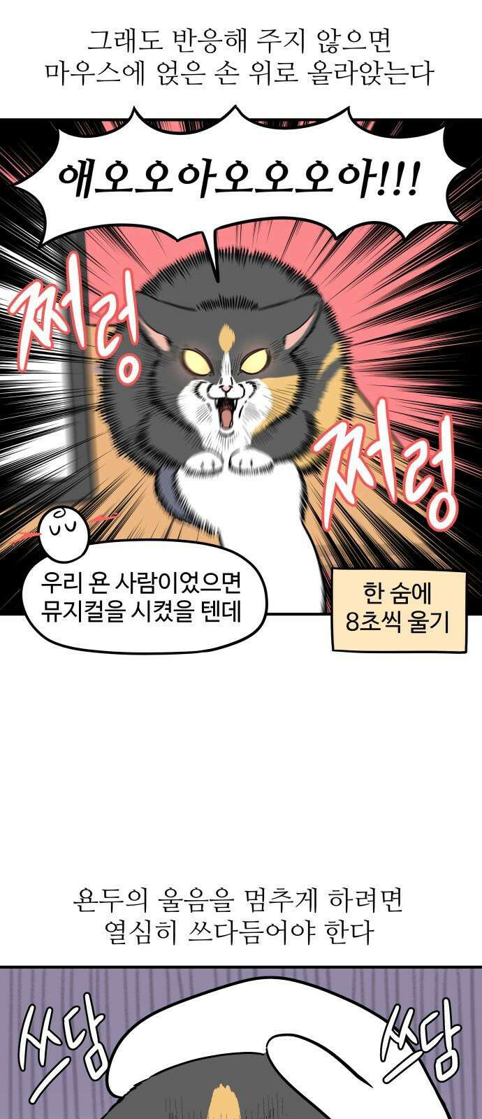 노곤하개 쇼츠 요구가 많은 고양이 5