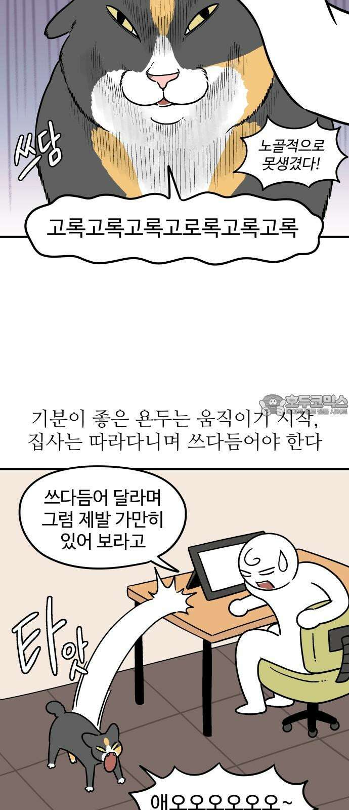 노곤하개 쇼츠 요구가 많은 고양이 6