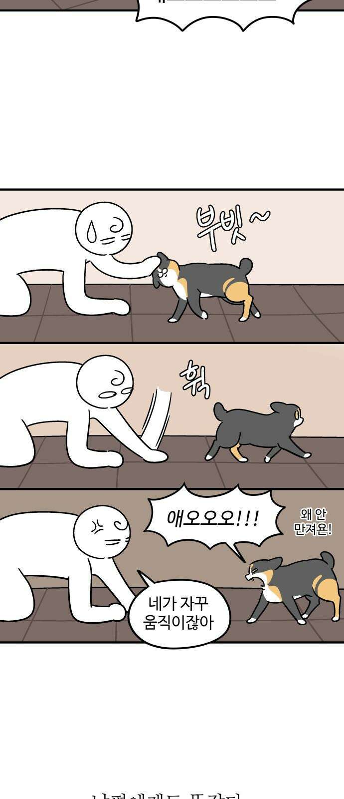 노곤하개 쇼츠 요구가 많은 고양이 7