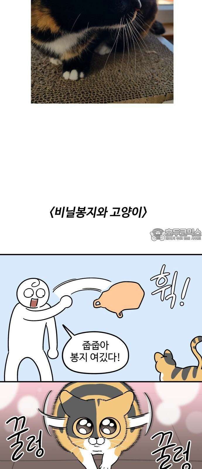 노곤하개 쇼츠 요구가 많은 고양이 9