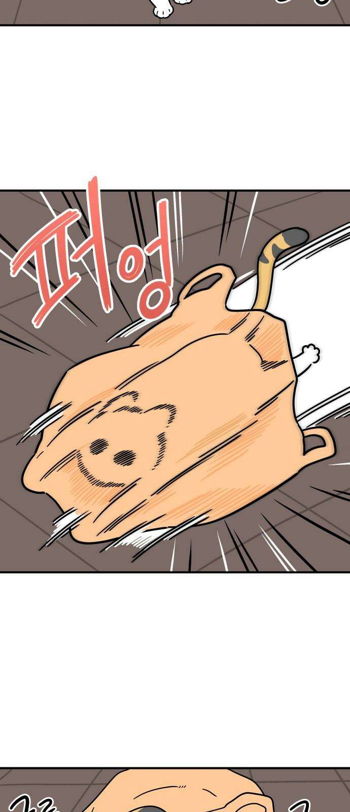 노곤하개 쇼츠 요구가 많은 고양이 10