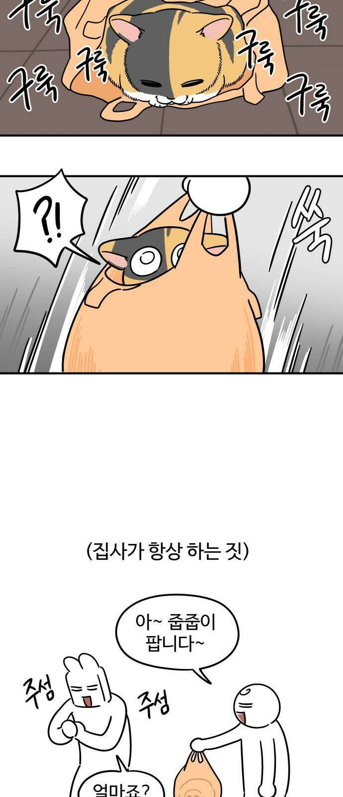 노곤하개 쇼츠 요구가 많은 고양이 11
