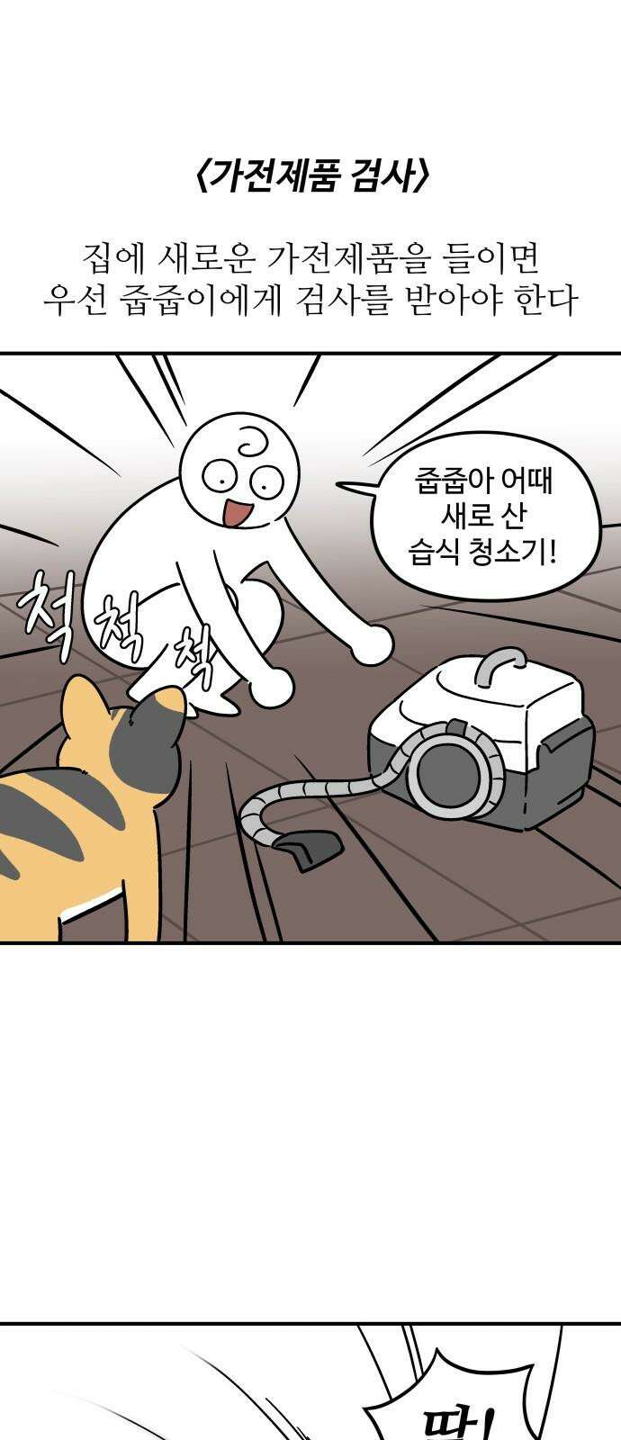 노곤하개 쇼츠 요구가 많은 고양이 13
