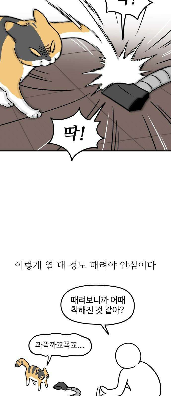 노곤하개 쇼츠 요구가 많은 고양이 14