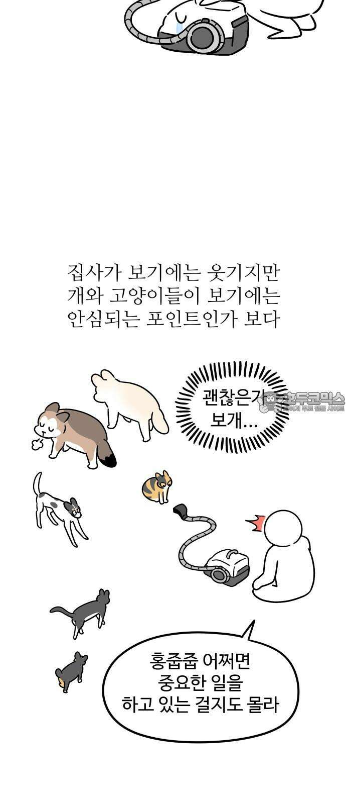 노곤하개 쇼츠 요구가 많은 고양이 15