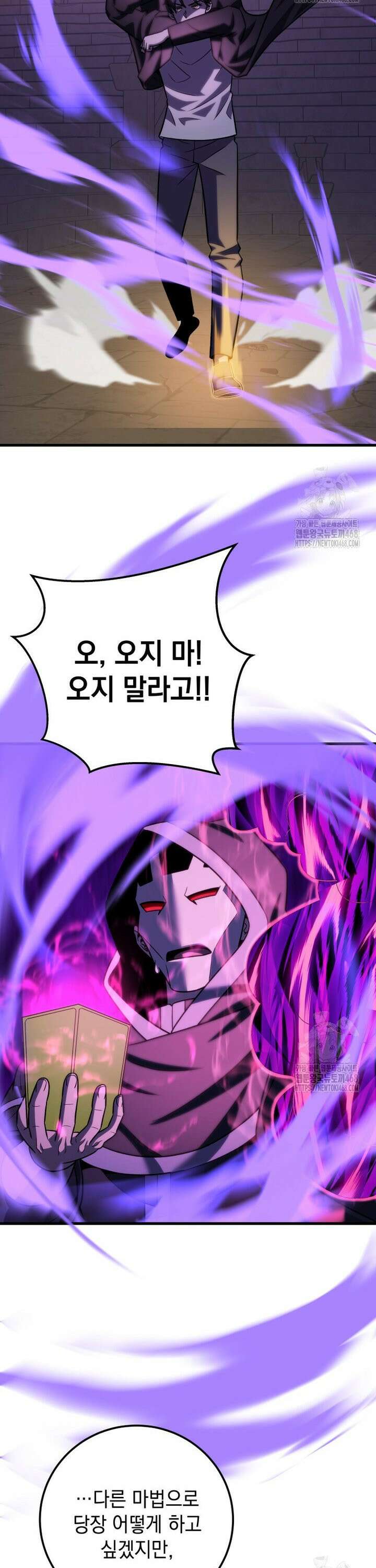 마력이 0.06인 내가 스킬레벨만으로 최강 헌터가 되어 새총의 위대함 31화 26
