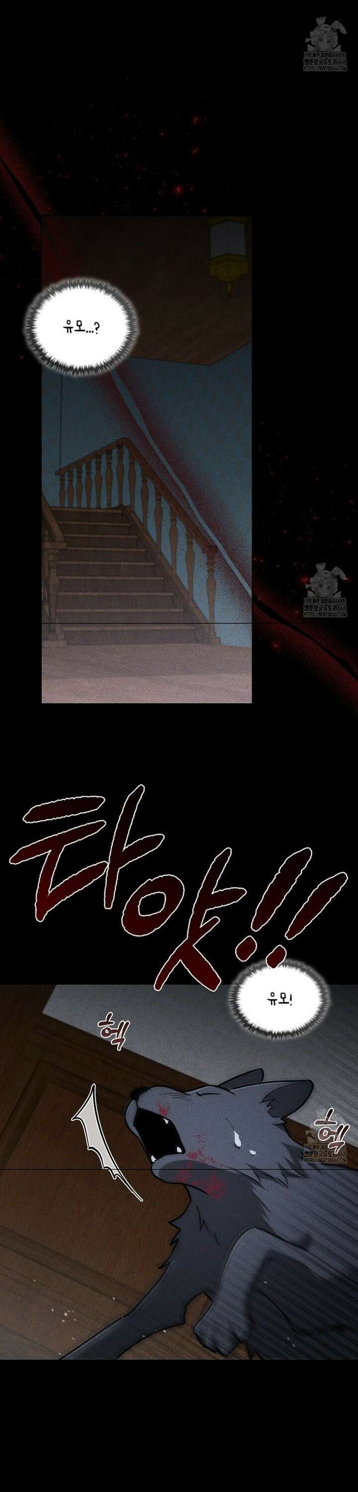 강아지는 건드리지 마라 39화 9