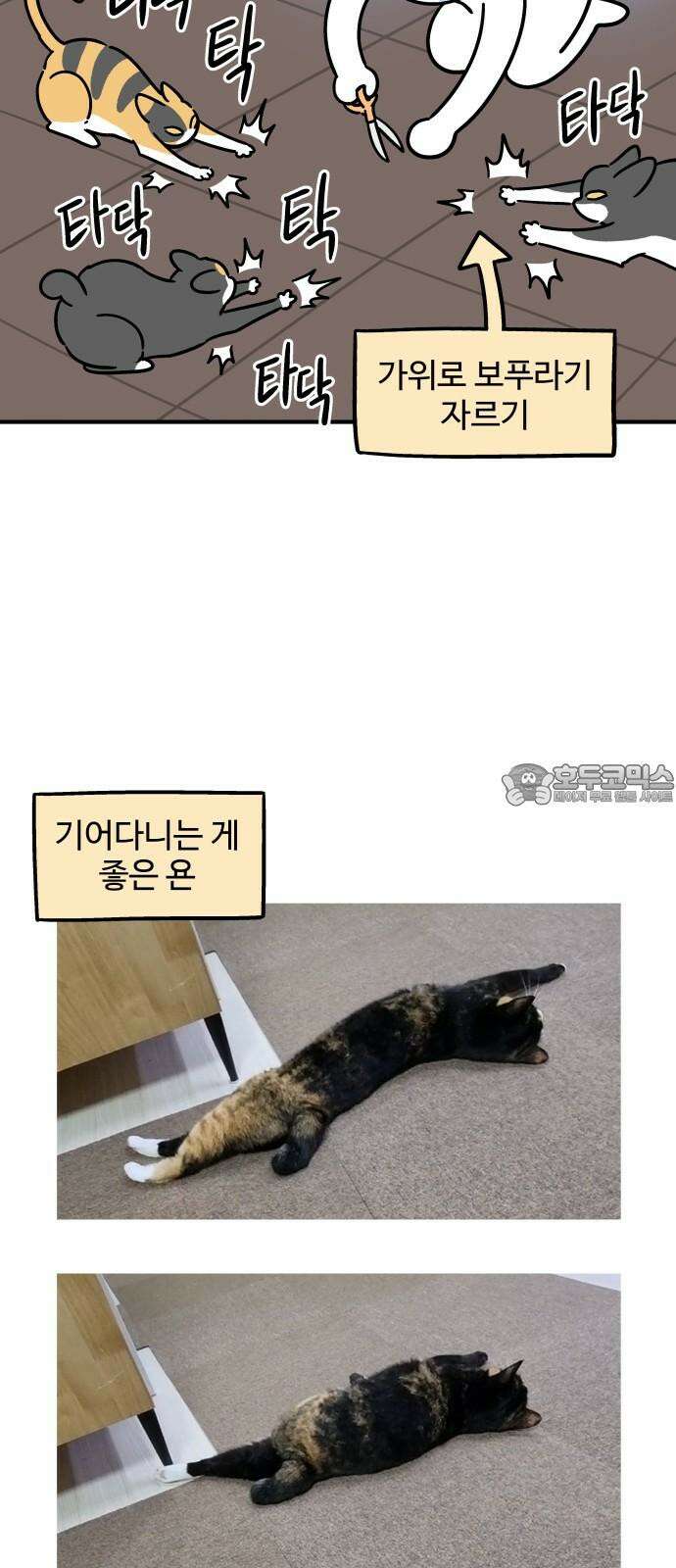 노곤하개 쇼츠 미끄럼 방지 매트 6