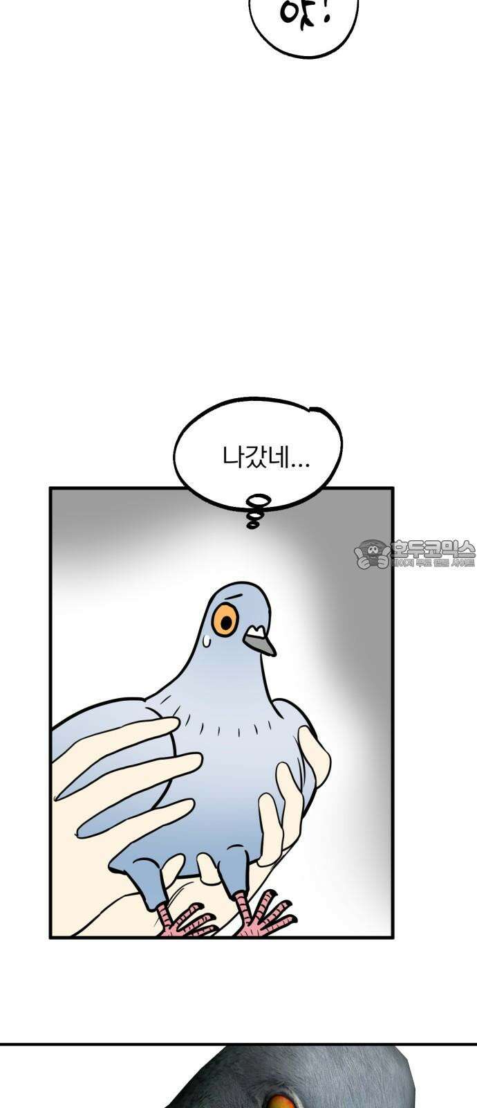 성북구 비둘기 이헌서 46화) 빙의조류는 빙의조류끼리 6