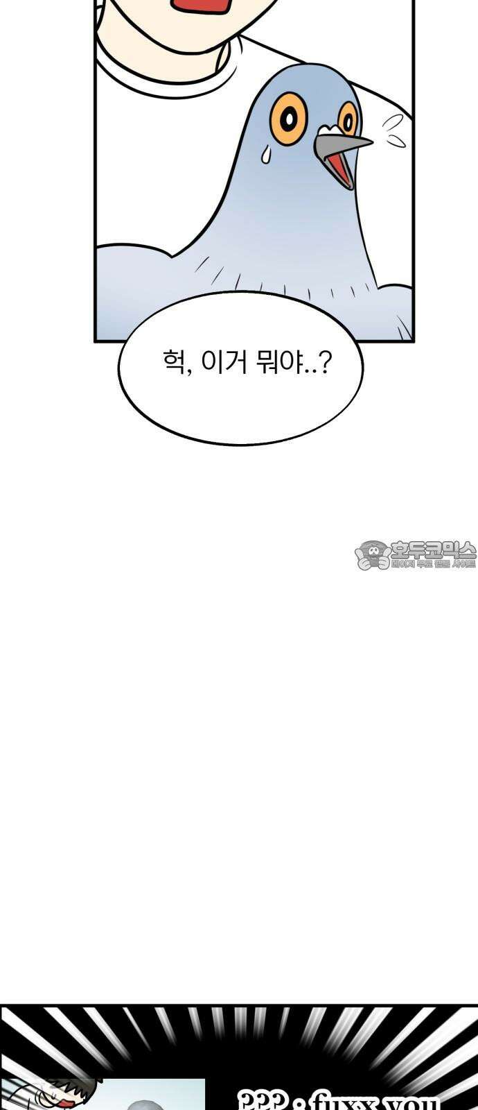 성북구 비둘기 이헌서 46화) 빙의조류는 빙의조류끼리 9