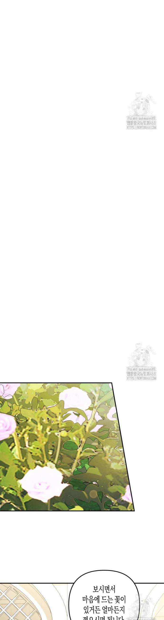 약탈혼 (완전판) 64화 36