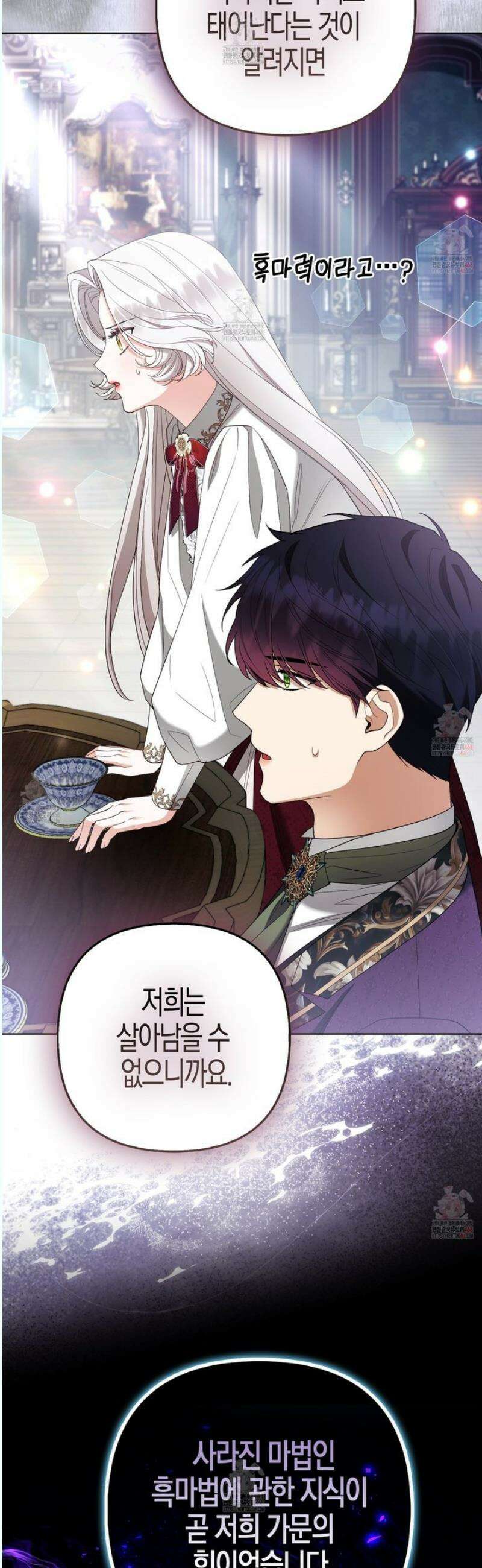 대공가의 여우 황녀님 76화 39