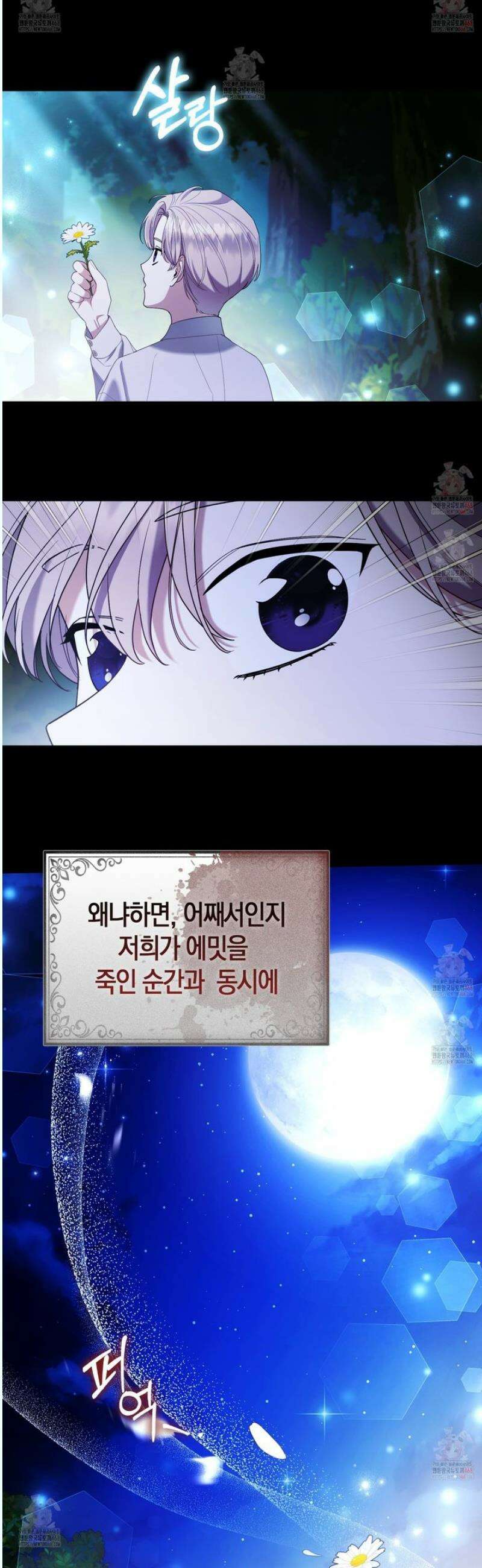 대공가의 여우 황녀님 76화 53