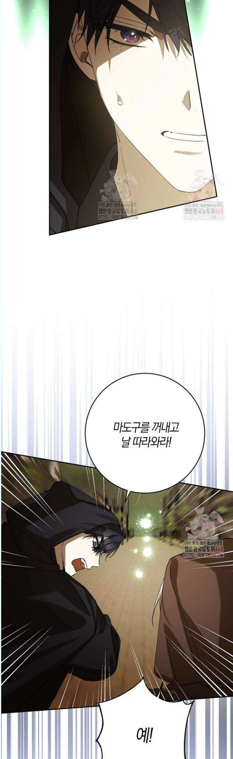 마녀의 아들을 지키는 이유 77화 27