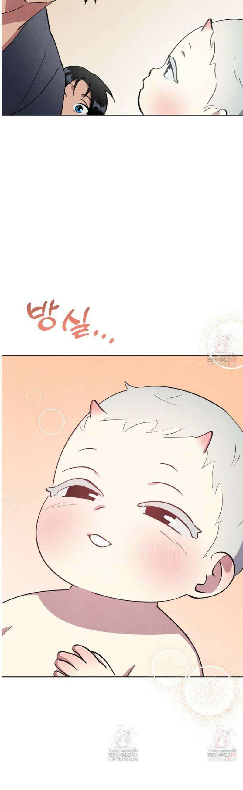 북부대공님의 비밀계약 외전 5화 17